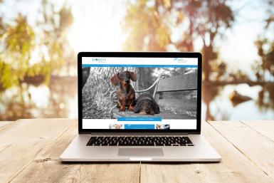 Aktiv zum Wohl von Mensch und Tier: die DORON Stiftung