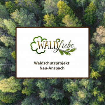 Waldliebe